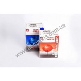 Клапана 21083 впуск.(D005)+выпускн.(D004) (8 шт) AMP Азотированый