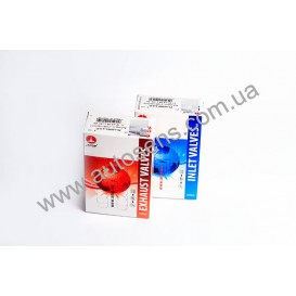 Клапана 2108 впуск.(D003)+выпускн(D004). (8 шт) AMP 